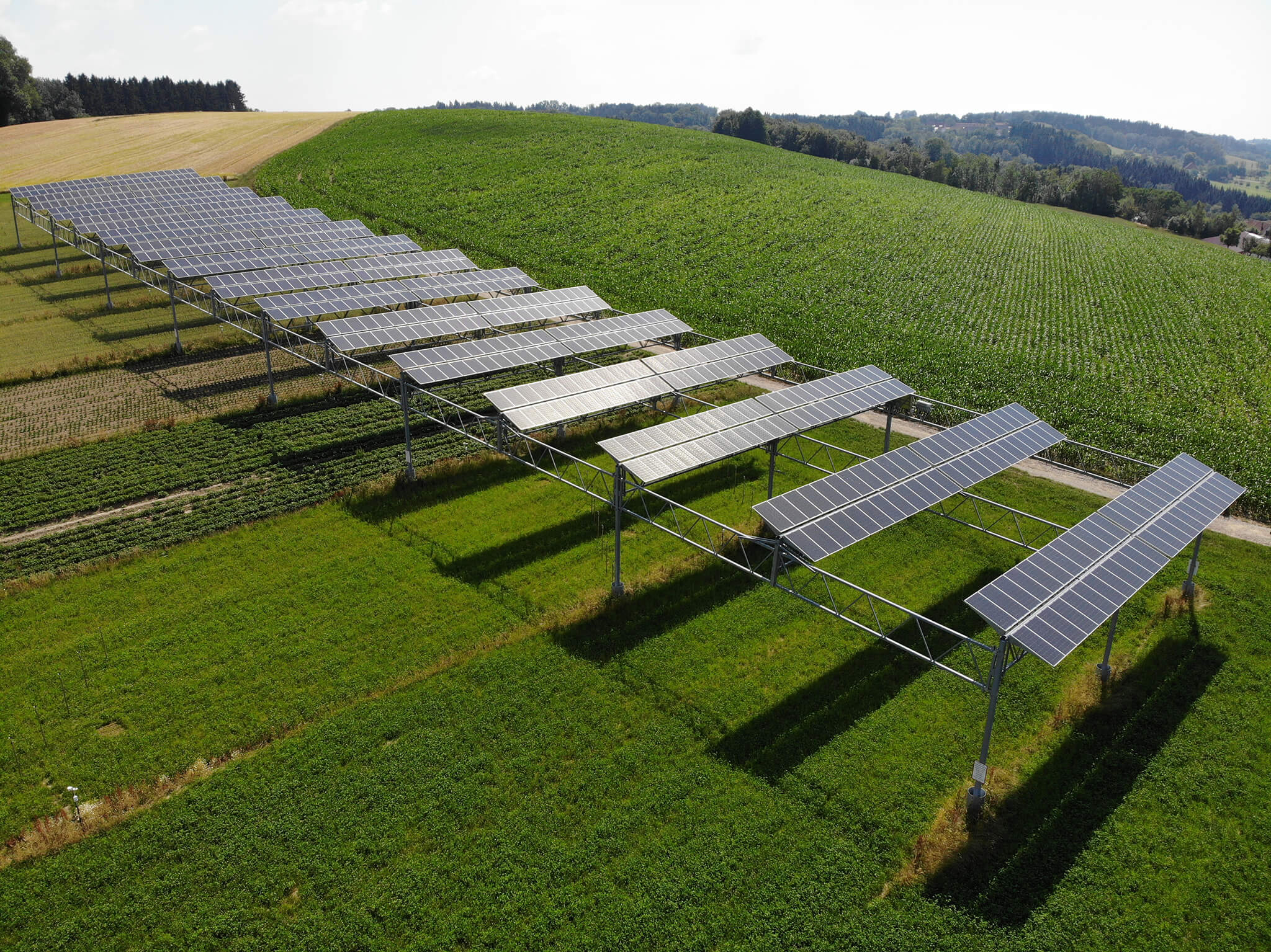 Agri-Photovoltaik: Chance für einen Kompromiss in Unterkessach!?